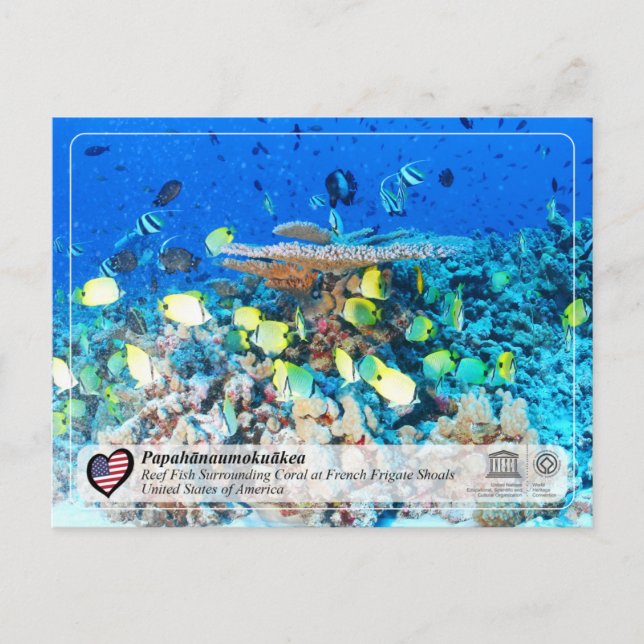 UNESCO - Papahānaumokuākea - French Frigate Shoals Postcard (Front)