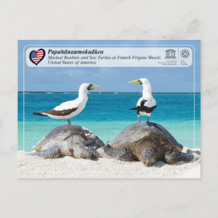UNESCO - Papahānaumokuākea - French Frigate Shoals Postcard