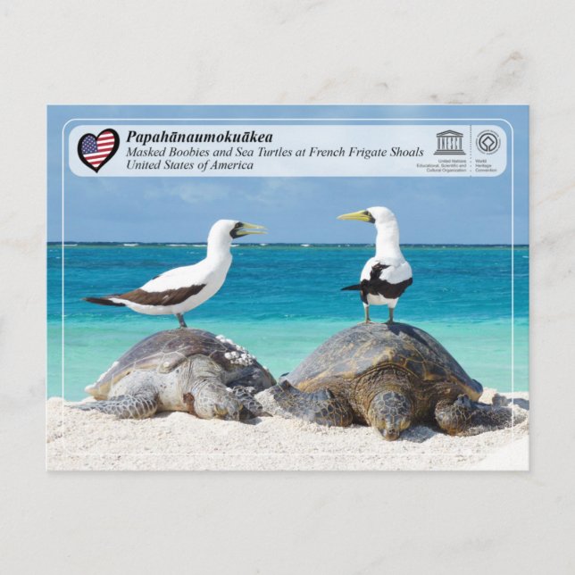 UNESCO - Papahānaumokuākea - French Frigate Shoals Postcard (Front)