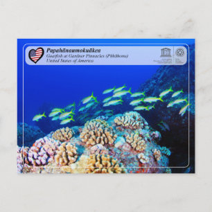 UNESCO - Papahānaumokuākea - Gardner Pinnacles Postcard