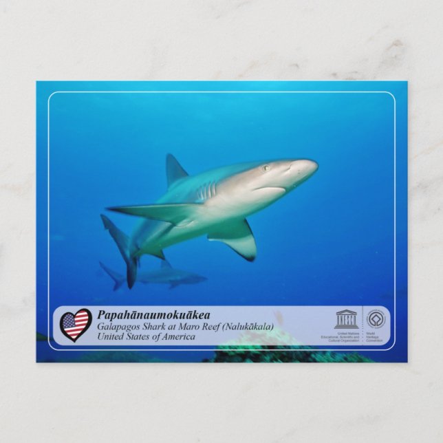 UNESCO - Papahānaumokuākea - Maro Reef Postcard (Front)