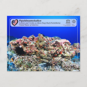 UNESCO - Papahānaumokuākea - Maro Reef Postcard