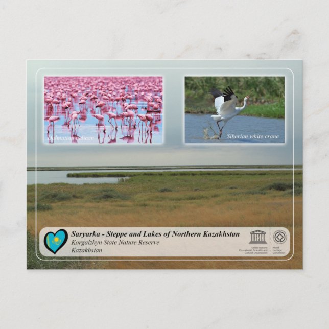 UNESCO - Saryarka Korgalzhyn State Nature Reserve Postcard (Front)