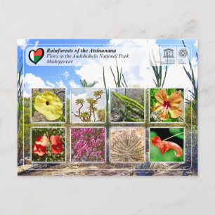 UNESCO WHS - Atsinanana - Andohahela National Park Postcard