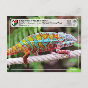 UNESCO WHS - Atsinanana - Masoala National Park Postcard