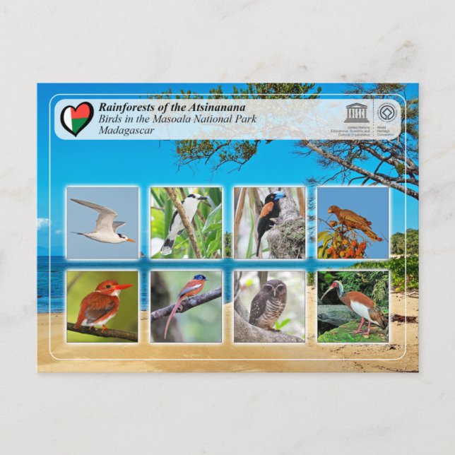 UNESCO WHS - Atsinanana - Masoala National Park Postcard (Front)