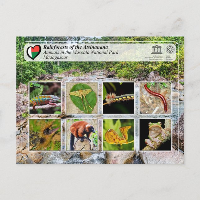 UNESCO WHS - Atsinanana - Masoala National Park Postcard (Front)