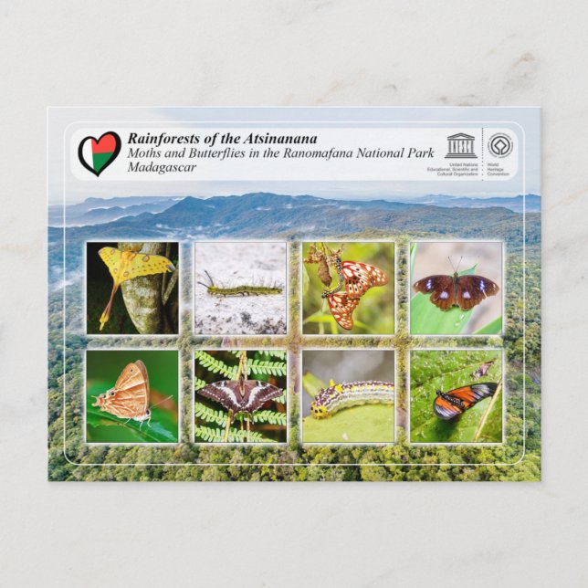 UNESCO WHS - Atsinanana - Ranomafana National Park Postcard (Front)