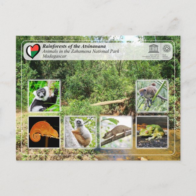 UNESCO WHS - Atsinanana - Zahamena National Park Postcard (Front)