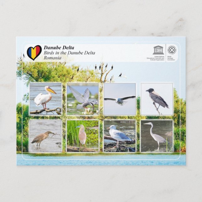 UNESCO WHS - Birds in the Danube Delta Postcard (Front)