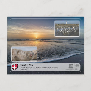 UNESCO WHS - Danish Wadden Sea Postcard