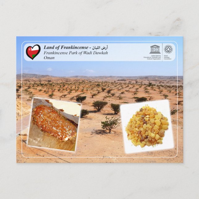 UNESCO WHS - Frankincense Park of Wadi Dawkah Postcard (Front)