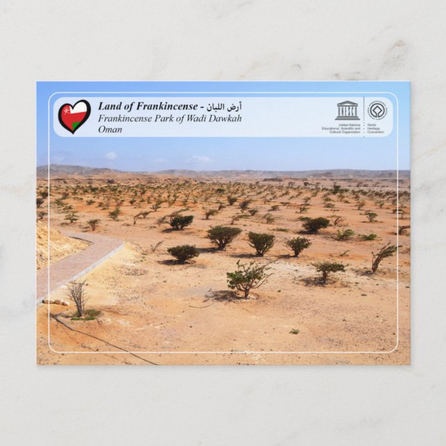 UNESCO WHS - Frankincense Park of Wadi Dawkah Postcard (Front)