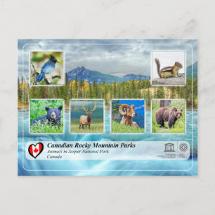 UNESCO WHS - Jasper National Park Postcard