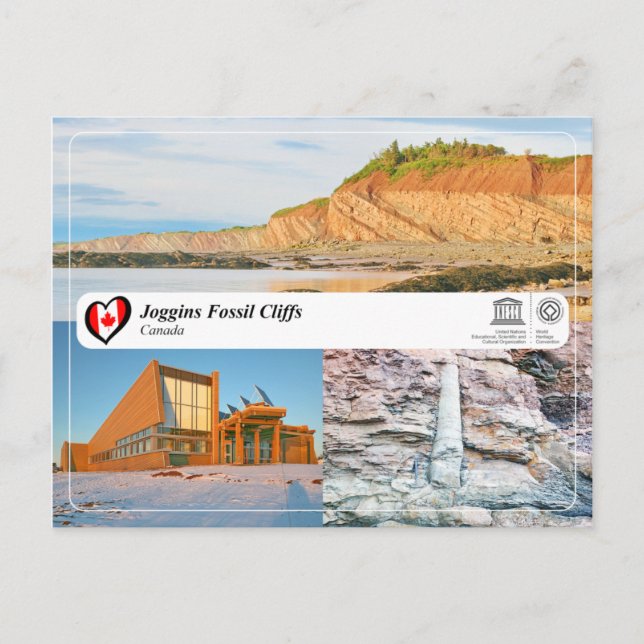 UNESCO WHS - Joggins Fossil Cliffs Postcard (Front)