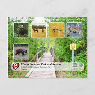UNESCO WHS - Kluane National Park and Reserve Postcard