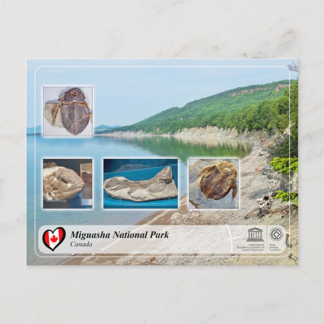 UNESCO WHS - Miguasha National Park Postcard (Front)