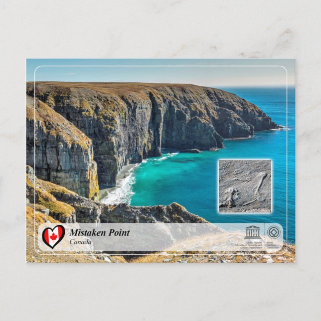 UNESCO WHS - Mistaken Point Postcard (Front)