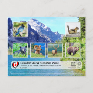 UNESCO WHS - Mount Assiniboine Provincial Park Postcard