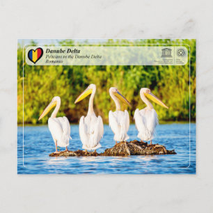UNESCO WHS - Pelicans in the Danube Delta Postcard