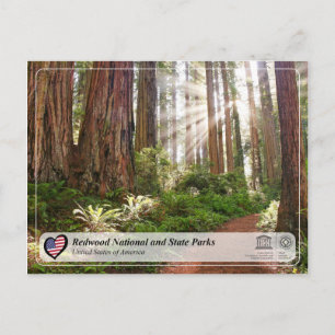 UNESCO WHS - Redwood National and State Parks Postcard