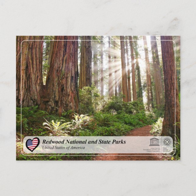 UNESCO WHS - Redwood National and State Parks Postcard (Front)