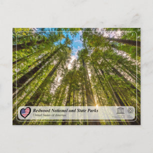 UNESCO WHS - Redwood National and State Parks Postcard