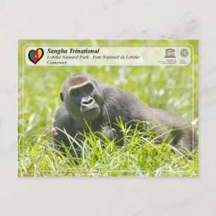 UNESCO WHS - Sangha Trinational - Lobéké Postcard