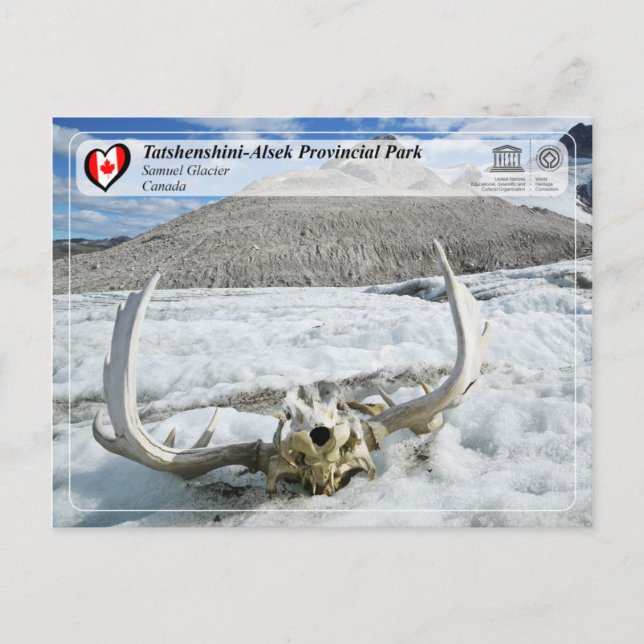 UNESCO WHS - Tatshenshini-Alsek Provincial Park Postcard (Front)