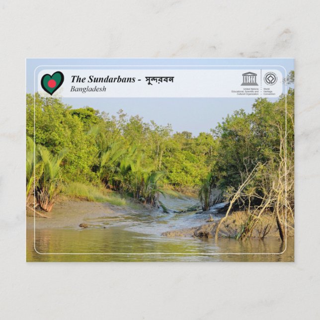 UNESCO WHS - The Sundarbans - সুন্দরবন Postcard (Front)