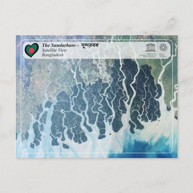 UNESCO WHS - The Sundarbans Postcard (Front)