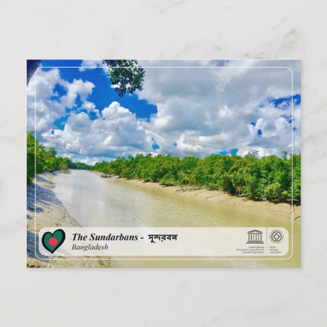 UNESCO WHS - The Sundarbans Postcard (Front)