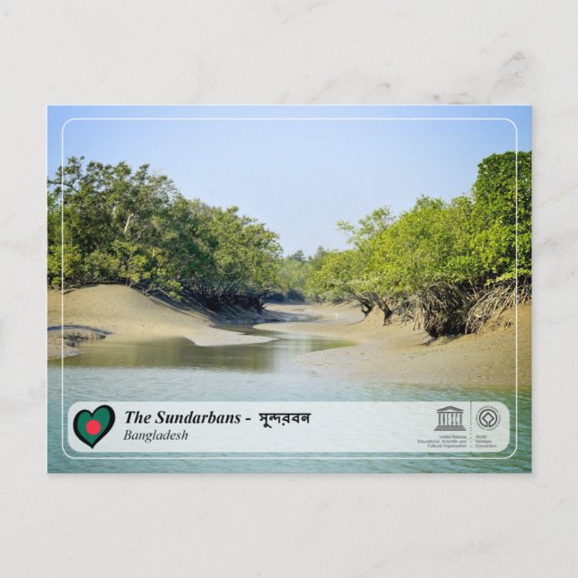 UNESCO WHS - The Sundarbans Postcard (Front)