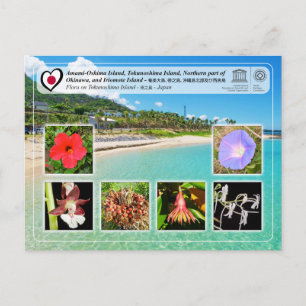 UNESCO WHS - Tokunoshima Island - 徳之島 - Flora Postcard