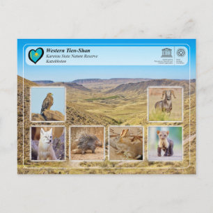 UNESCO WHS - Western Tien-Shan - Karatau NR Postcard