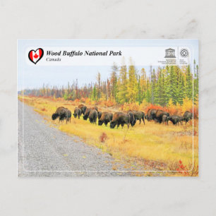 UNESCO WHS - Wood Buffalo National Park Postcard