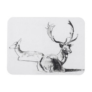 Unexpected Autumn Sun Magnet