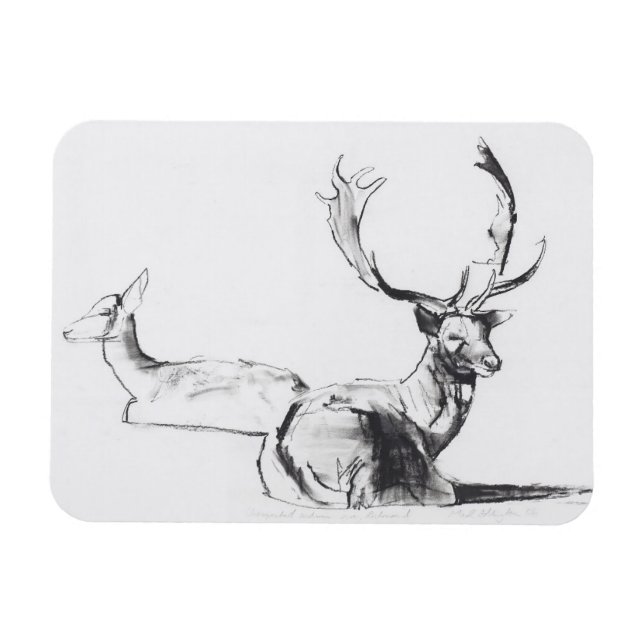 Unexpected Autumn Sun Magnet (Horizontal)