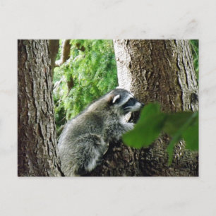 Unexpected Visitor, #6 Postcard