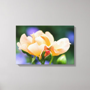 unfolding desire canvas print