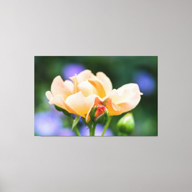 unfolding desire canvas print (Front)