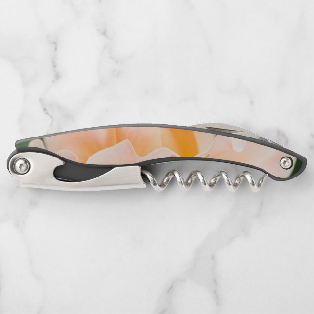 unfolding desire corkscrew (Front)