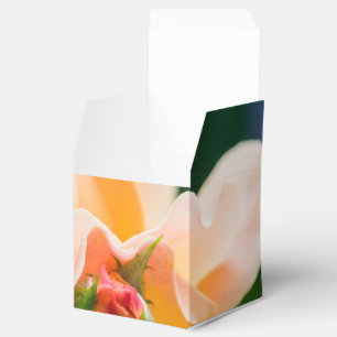 unfolding desire favour box