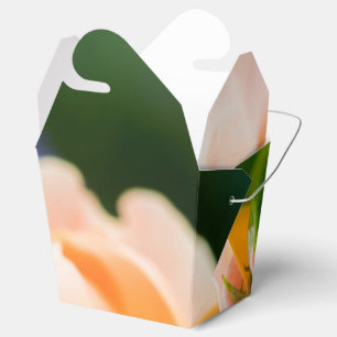 unfolding desire favour box