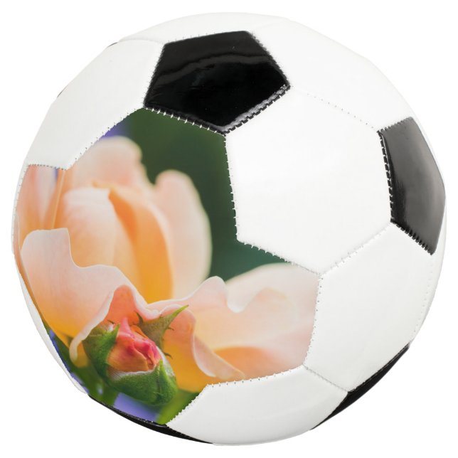 unfolding desire football (Three Quarter)