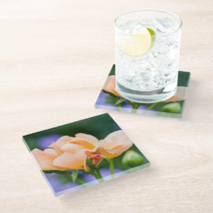 unfolding desire glass coaster