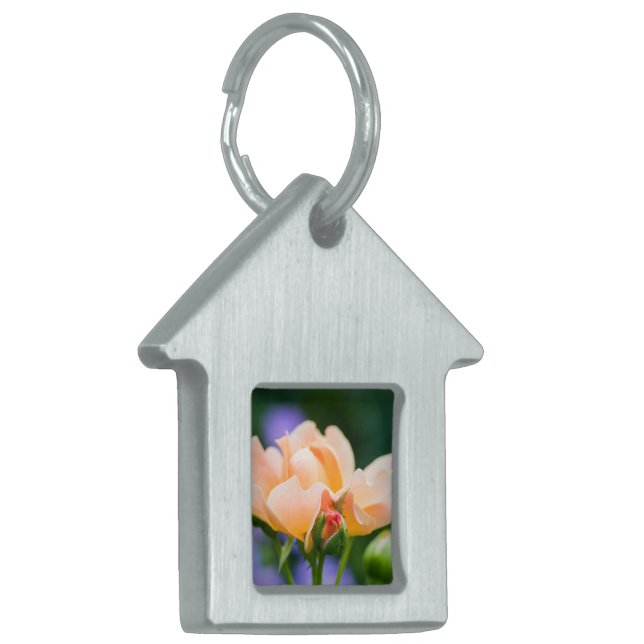 unfolding desire pet ID tag (Front Left)