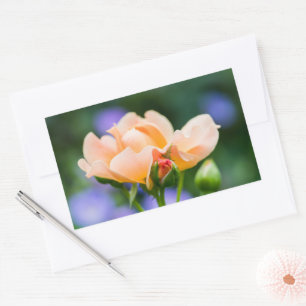 unfolding desire rectangular sticker