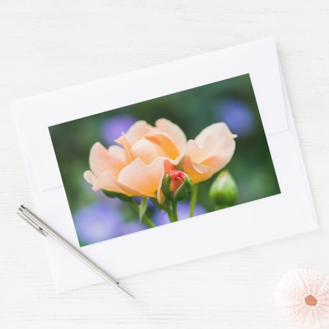 unfolding desire rectangular sticker (Envelope)