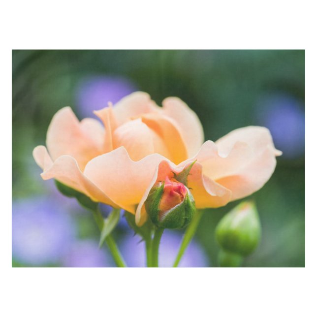 unfolding desire tablecloth (Front (Horizontal))